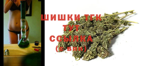 молекула духа Абинск