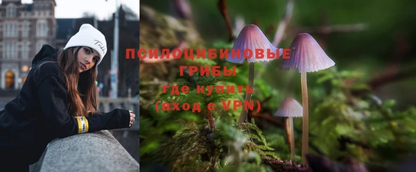 ALPHA PVP Алексеевка
