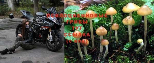 каннабис Рославль