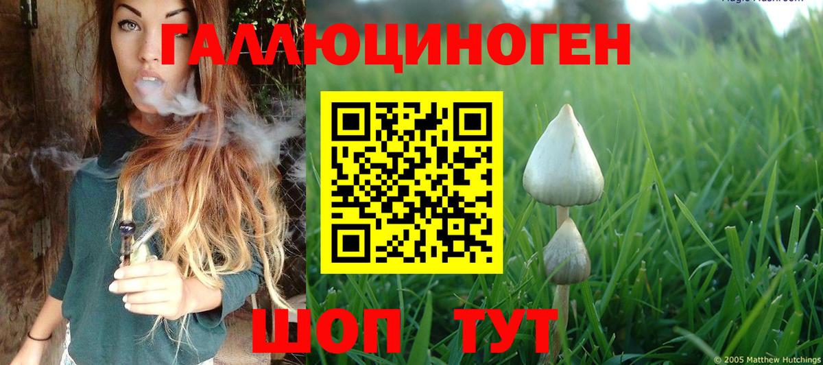 Сорочинск  Галлюциногенные грибы MAGIC MUSHROOMS  магазин  наркотиков  Вход с VPN 