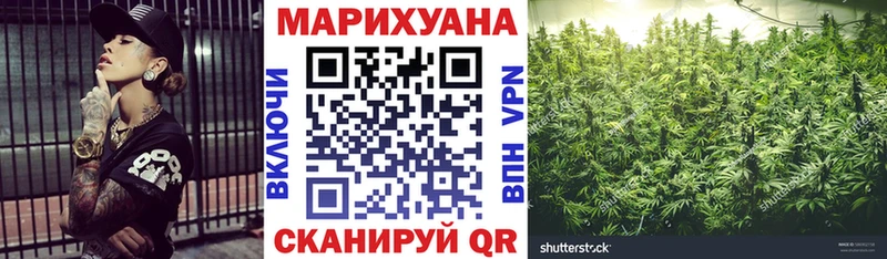 Шишки марихуана марихуана Сорочинск